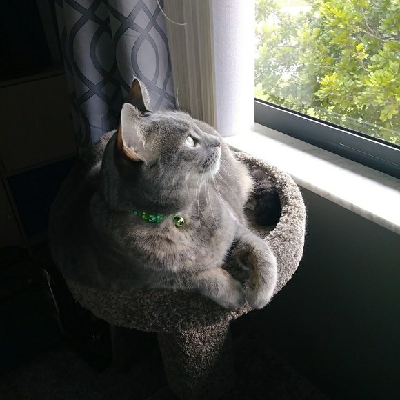 Meet your Posher, Joanna - Picture 6 of 11